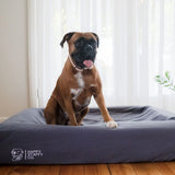 Orthopedic Memory Foam Bed + Pure Cotton Cover