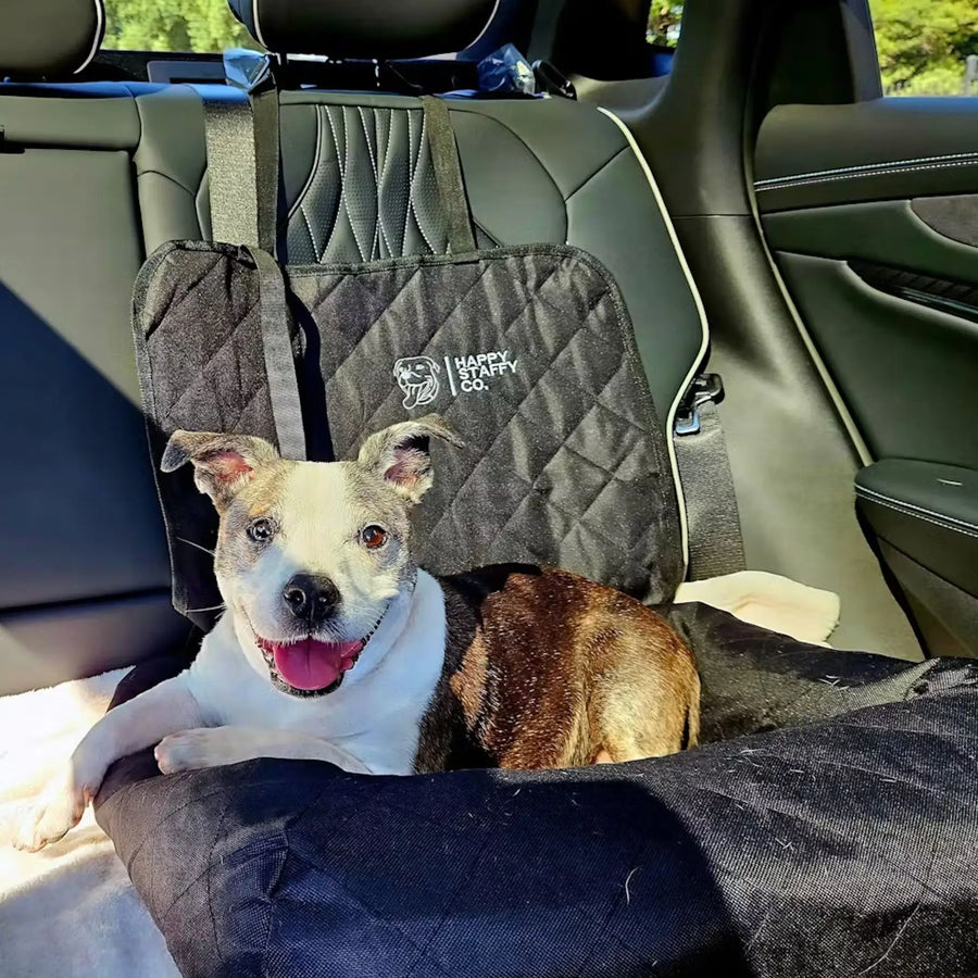 Single Car Seat Protector photo 3