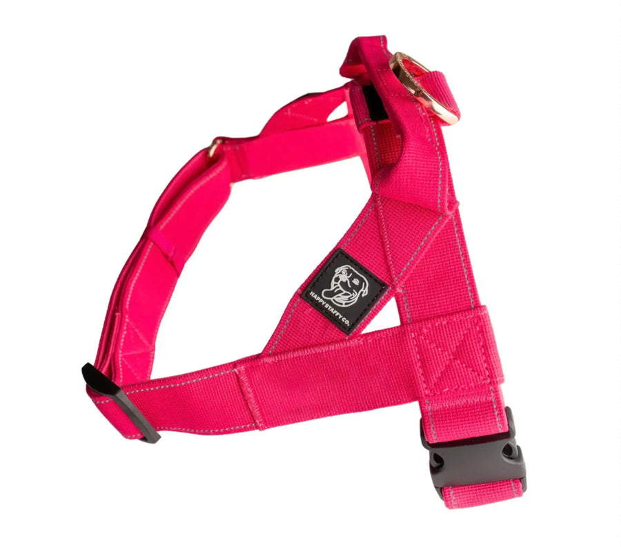 Durable Dog Harness photo 10