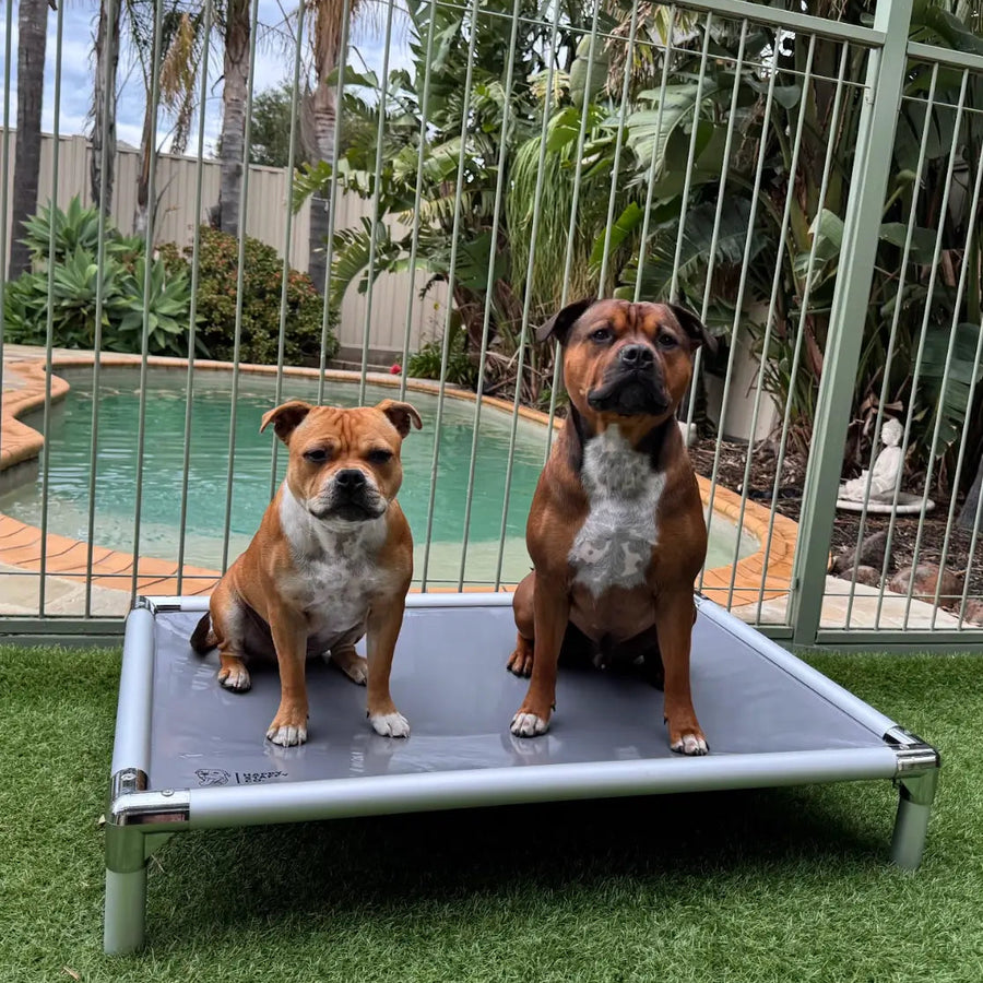 Chew-Proof Outdoor Dog Bed photo 3