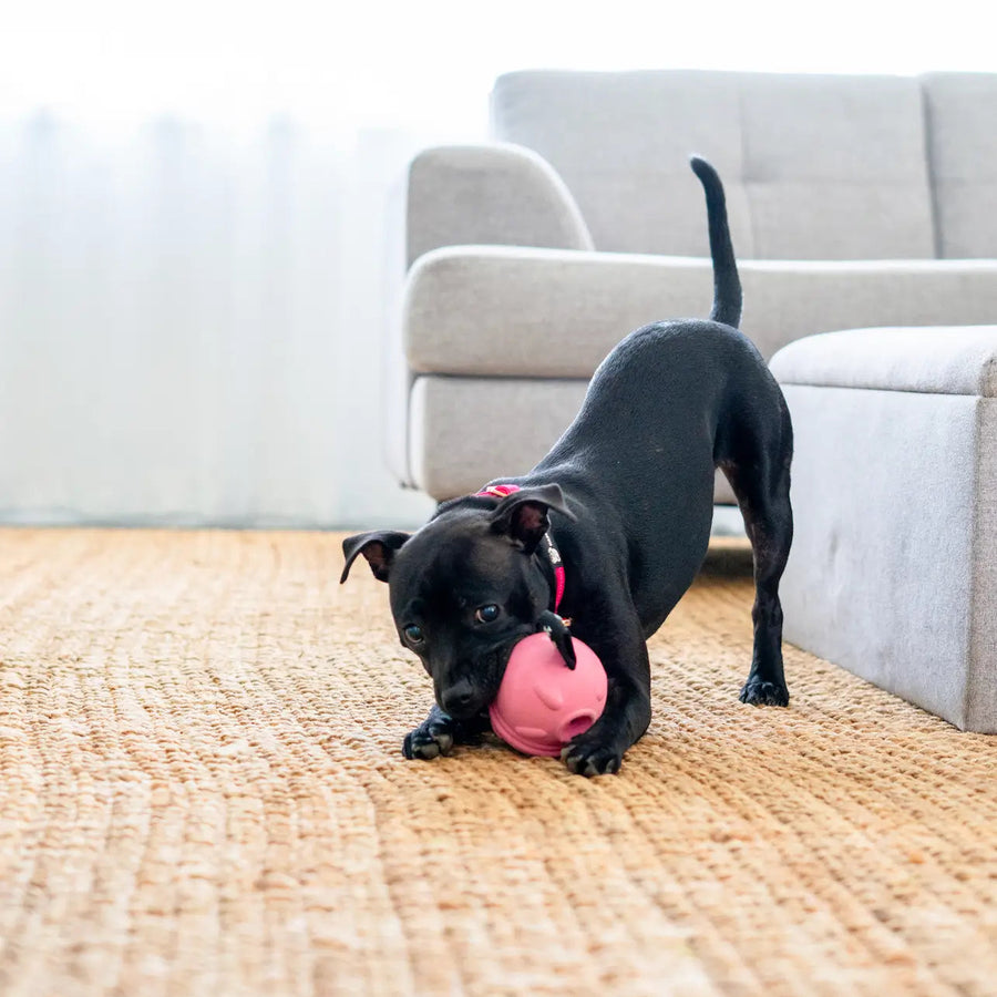 Poppy Pig Treat Dispenser photo 6