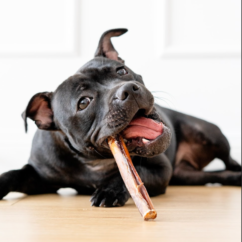Bully Sticks (Beef Pizzle Thick) photo 2