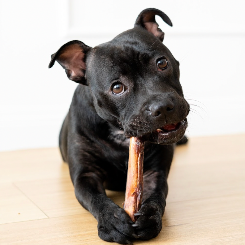 Bully Sticks (Beef Pizzle Thick) photo 6