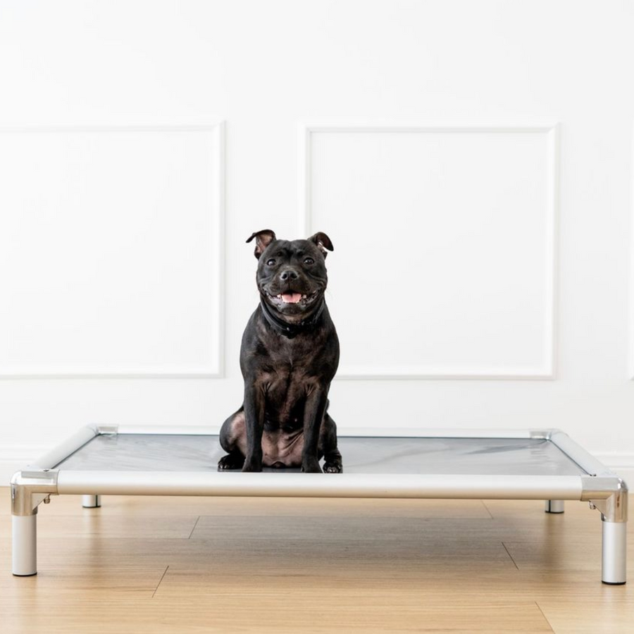 Chew-Proof Outdoor Dog Bed photo 5