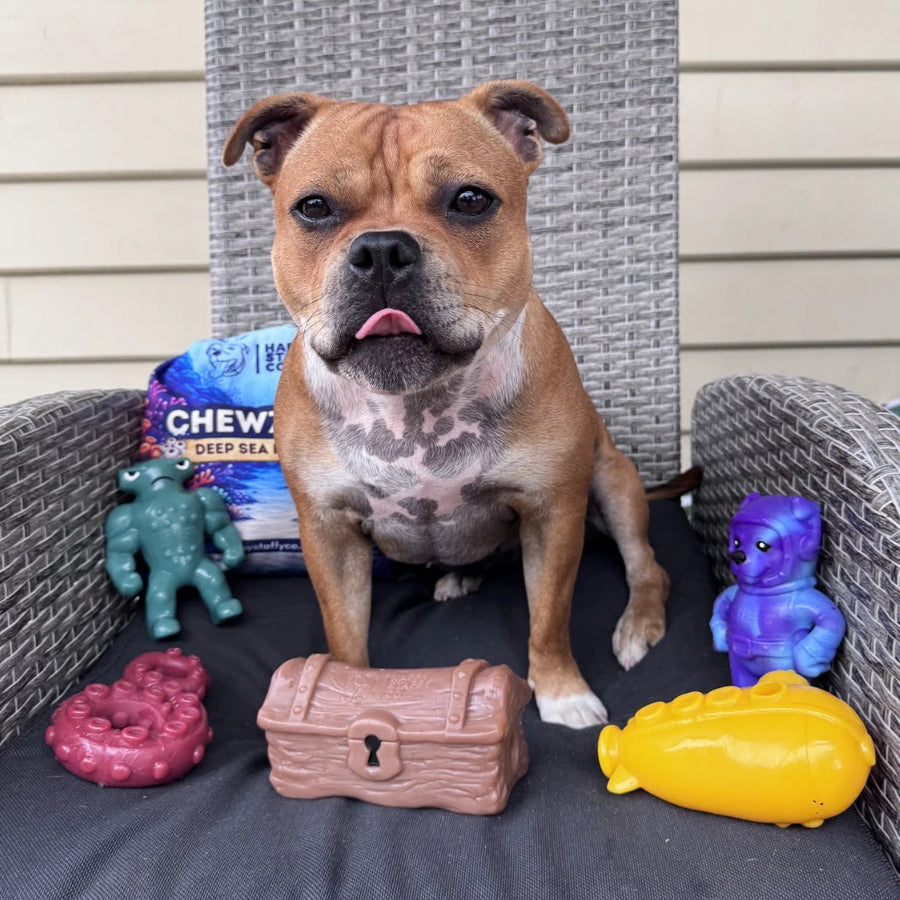 Chewzilla® Deep Sea Mission photo 6
