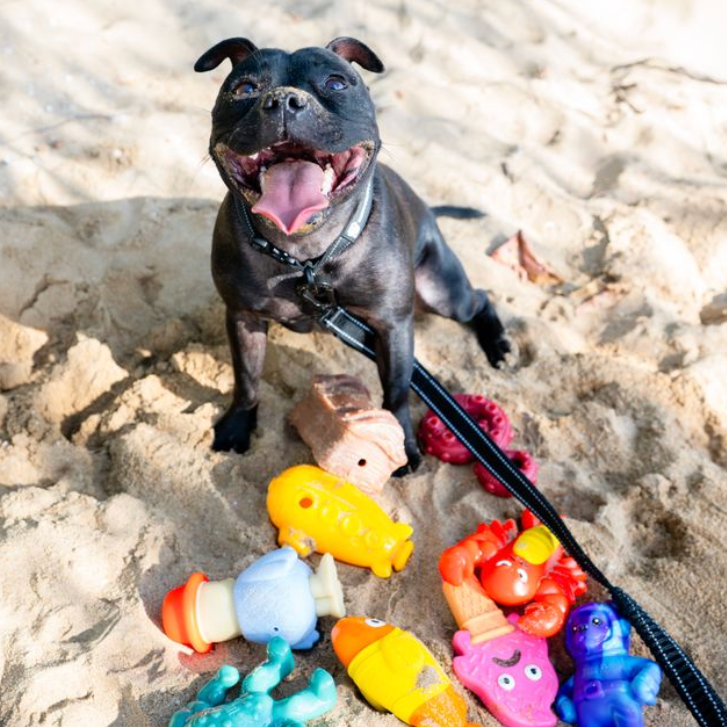 Deep Sea Mission x Beach Trip Bundle photo 3