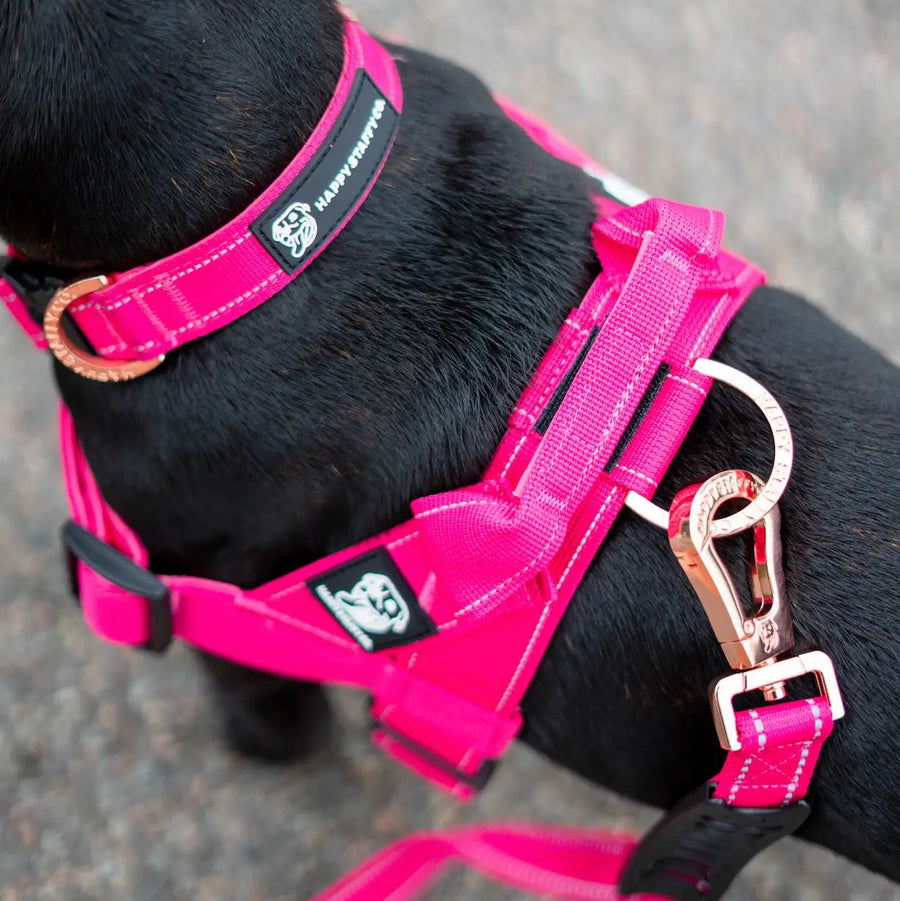 Durable Dog Harness photo 3