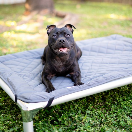 Chew-Proof Bed & Cover Bundle photo 3