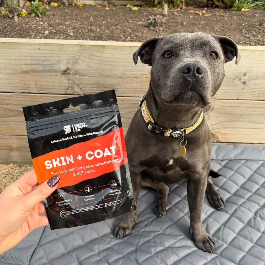 Skin & Coat Dog Supplement photo 3
