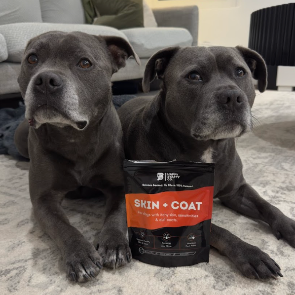 Skin & Coat Dog Supplement photo 5