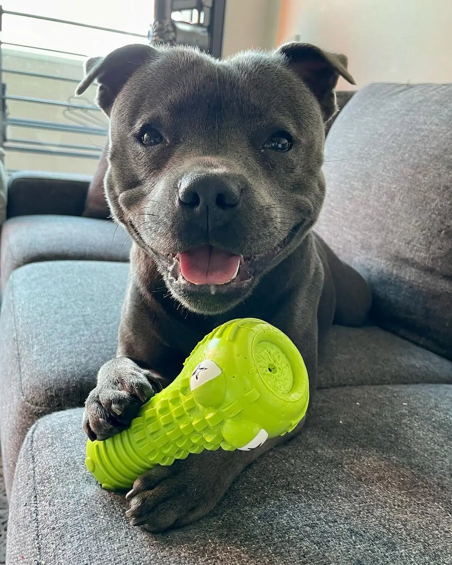 Crocodile Dental Chew photo 9
