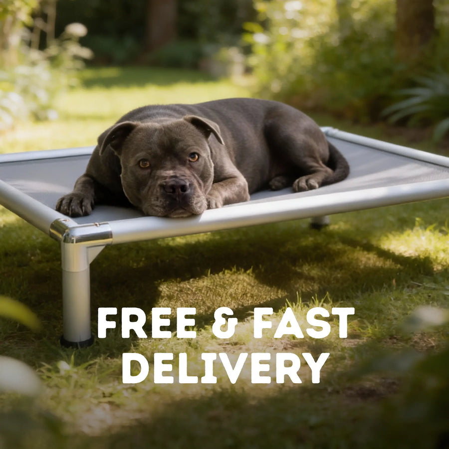 Chew-Proof Outdoor Dog Bed photo 4