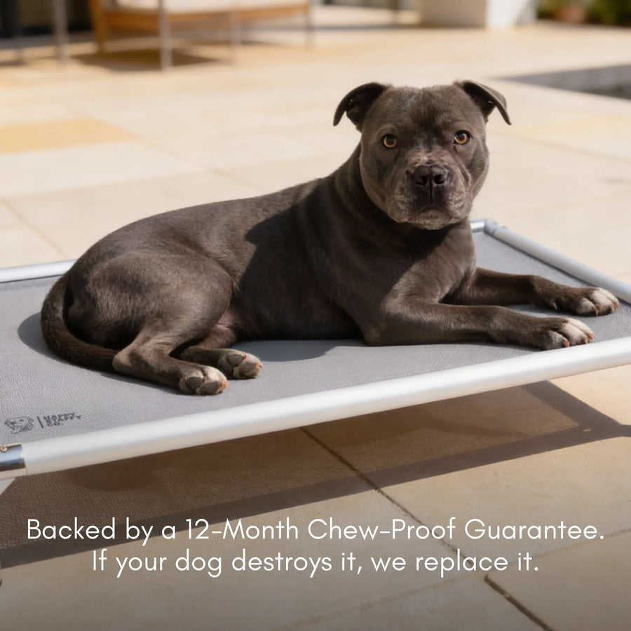 Chew-Proof Outdoor Dog Bed photo 10