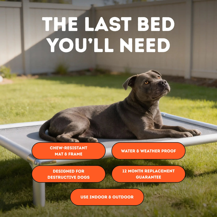 Chew-Proof Outdoor Dog Bed photo 2