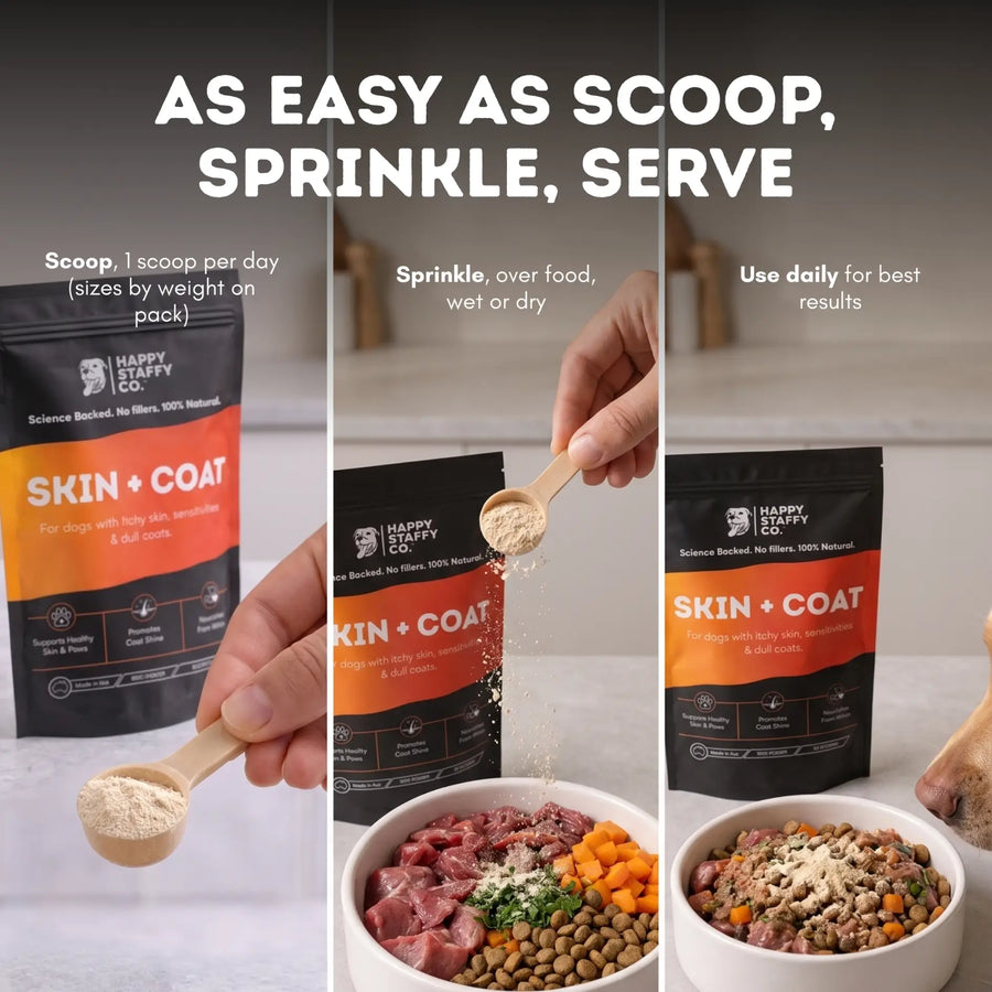 Skin & Coat Dog Supplement photo 10
