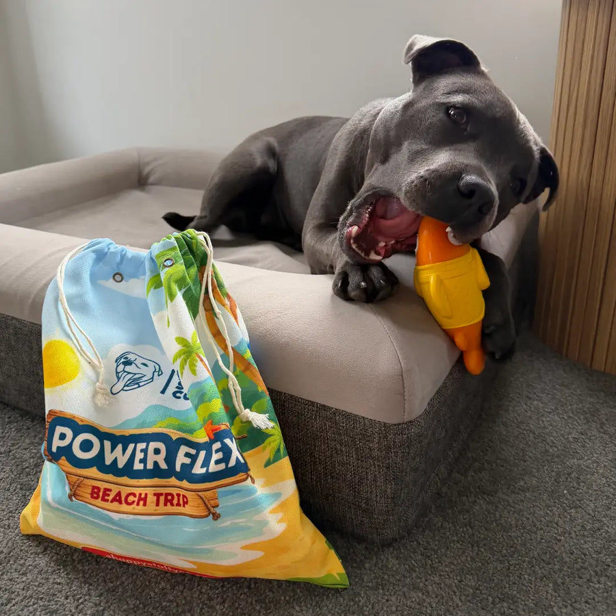 PowerFlex™ Beach Trip photo 2