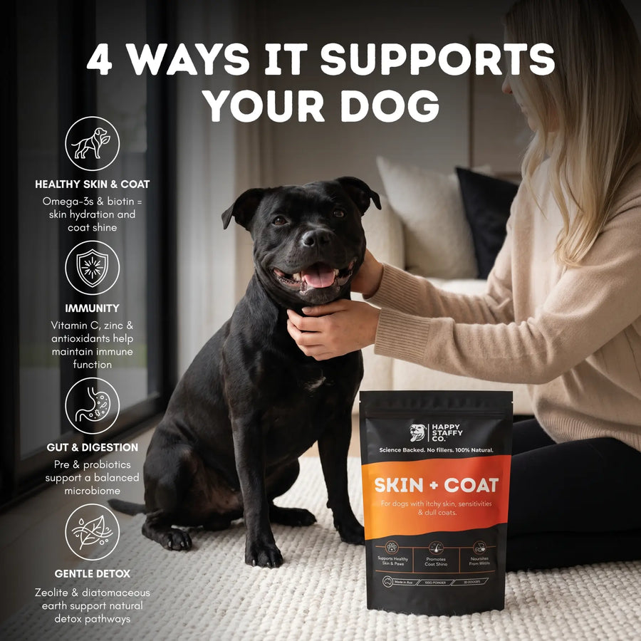 Skin & Coat Dog Supplement photo 8