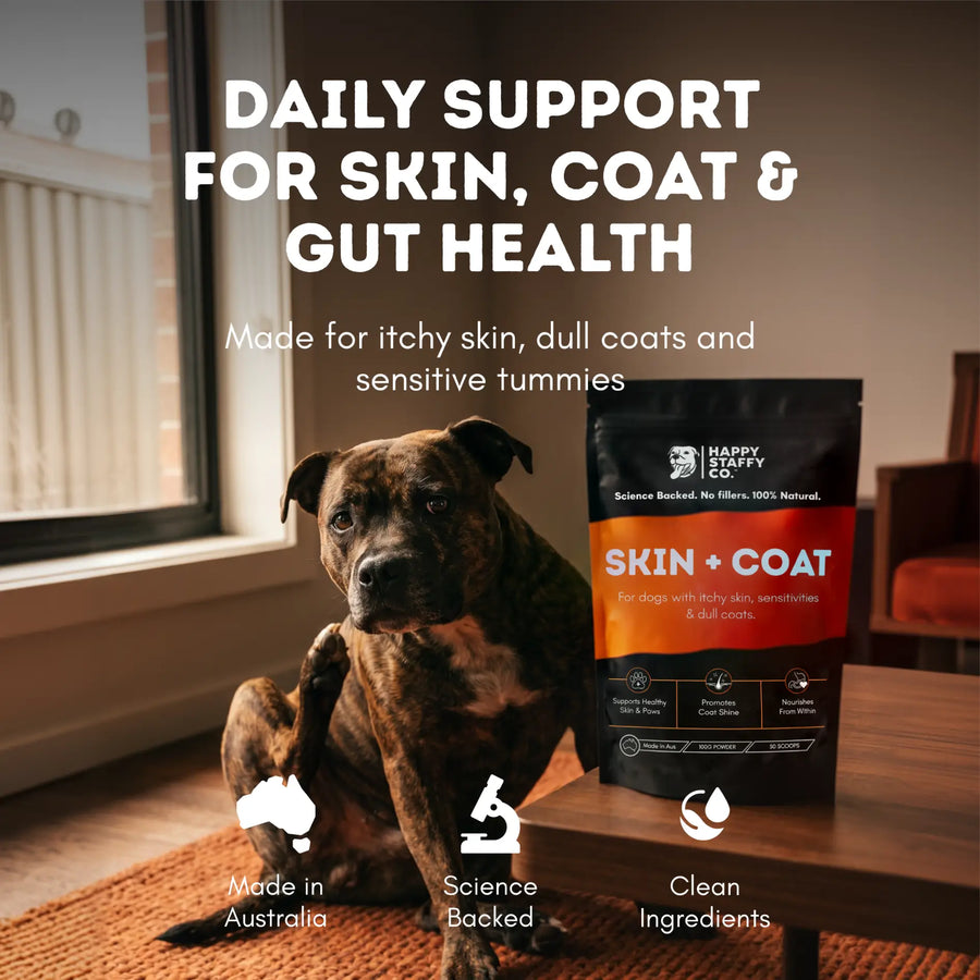 Skin & Coat Dog Supplement photo 6