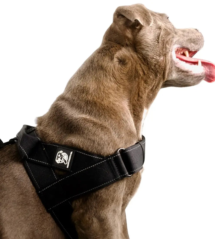 Durable Dog Harness photo 6
