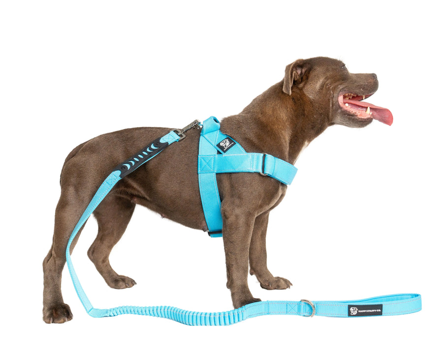 Durable Dog Harness photo 1