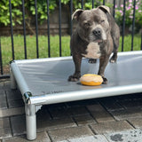 Chew-Proof Outdoor Dog Bed
