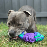 Treat & Toy Combo (PowerFlex™ Collection)