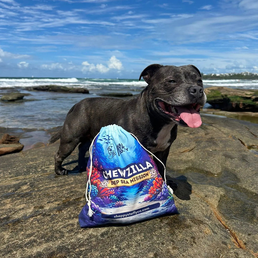 Chewzilla® Deep Sea Mission photo 8