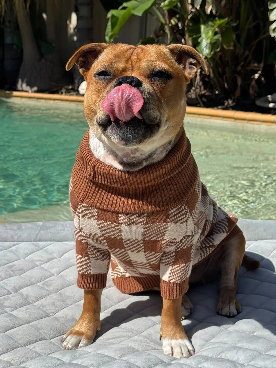 Cotton Dog Jumper photo 9