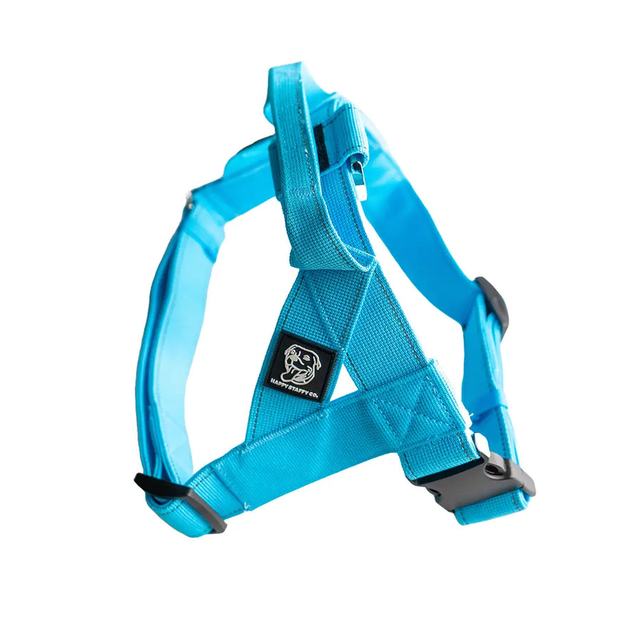 Durable Dog Harness Sky Blue / S