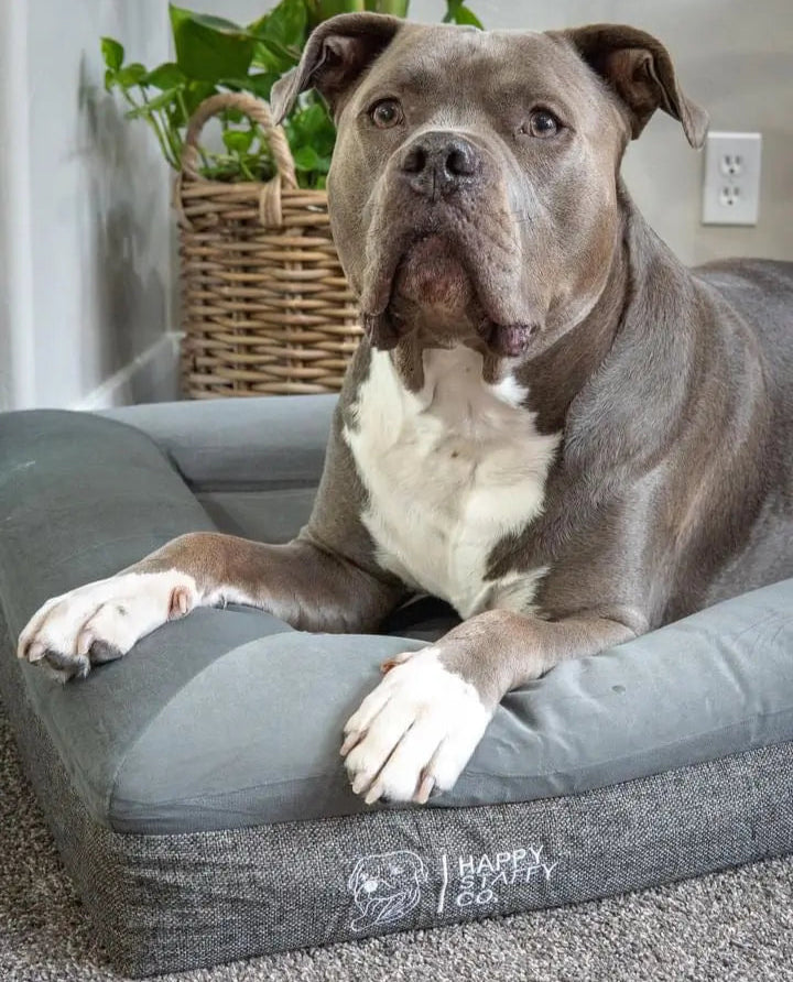 Deluxe Orthopedic Memory Foam Bed photo 7