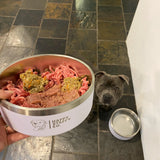 Food & Water Bowl Combo