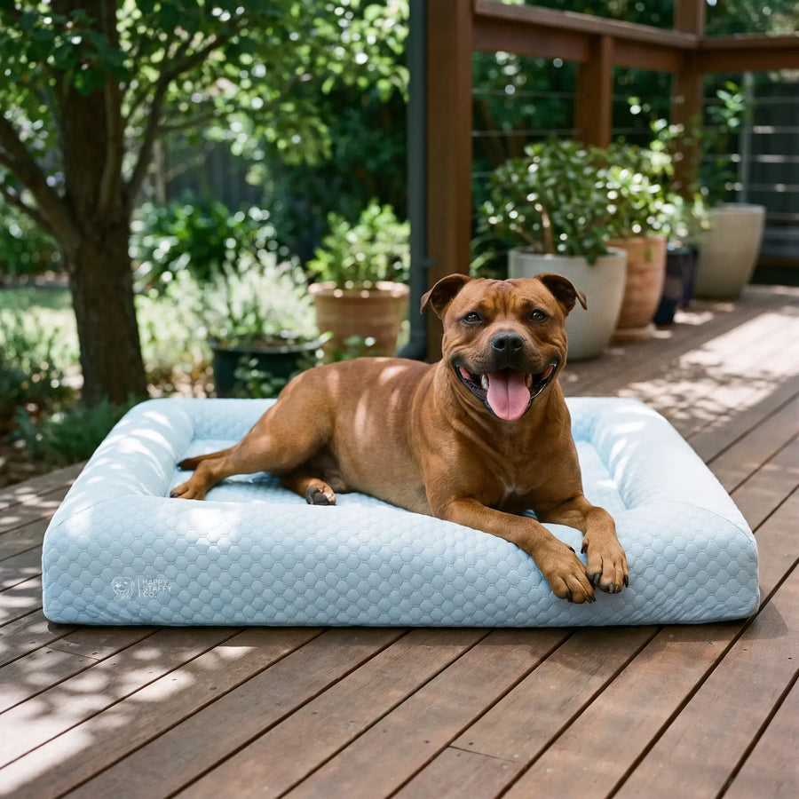 Orthopedic Memory Foam Bed & Cooling Cover photo 3