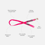 Anti Shock Bungee Leash