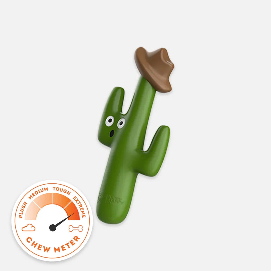 Cactus Cowboy photo 1