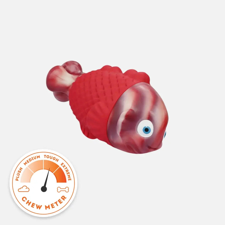 Squeaky Fish photo 1
