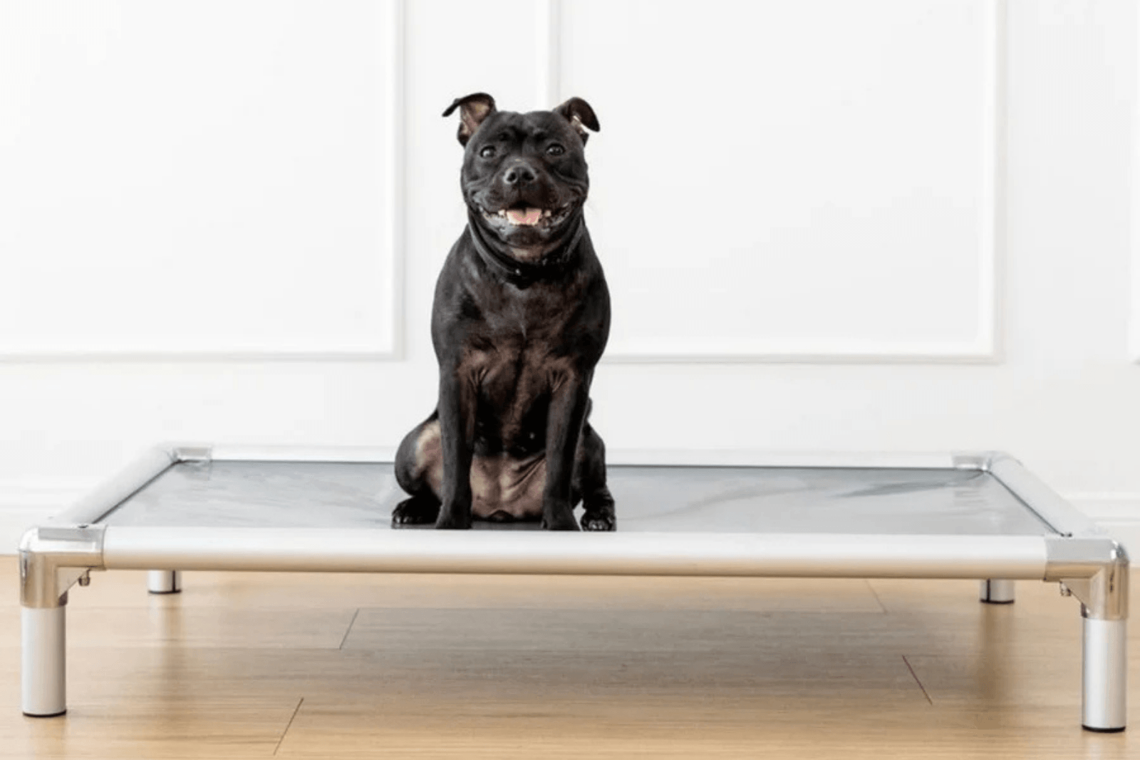 Top 8 Tough Dog Beds in Australia