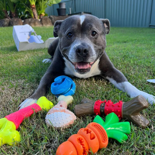 Top 7 Best Dog Toys for Aggressive Chewers: Durable Options to Consider