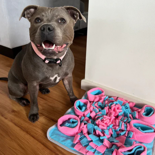 How Snuffle Mats for Dogs Support Fun, Relaxation, and Healthy Development