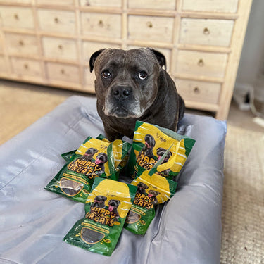 Are Beef Liver Dog Treats Good or Bad for Dogs?