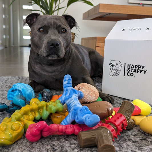 Difference between our Chewzilla and Power Chewers Toy Range