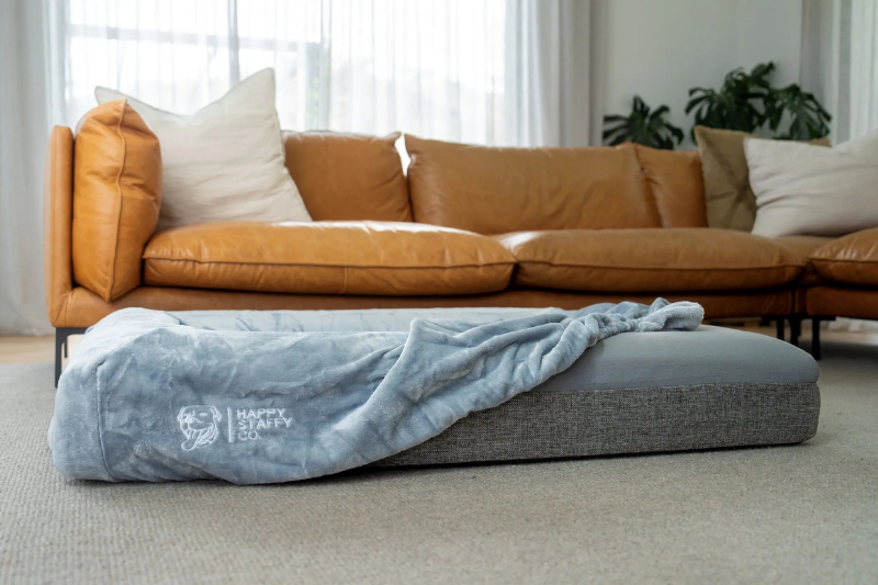 Seasonal Dog Bed Covers: Switching Up Style and Functionality Through the Year
