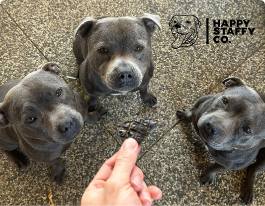 BENEFITS OF BEEF LIVER FOR DOGS