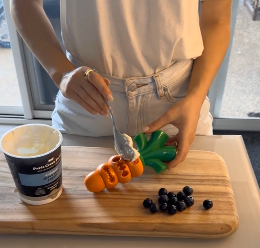 Deliciously Dog-Friendly: Healthy Spreads for Your Pup's Playtime