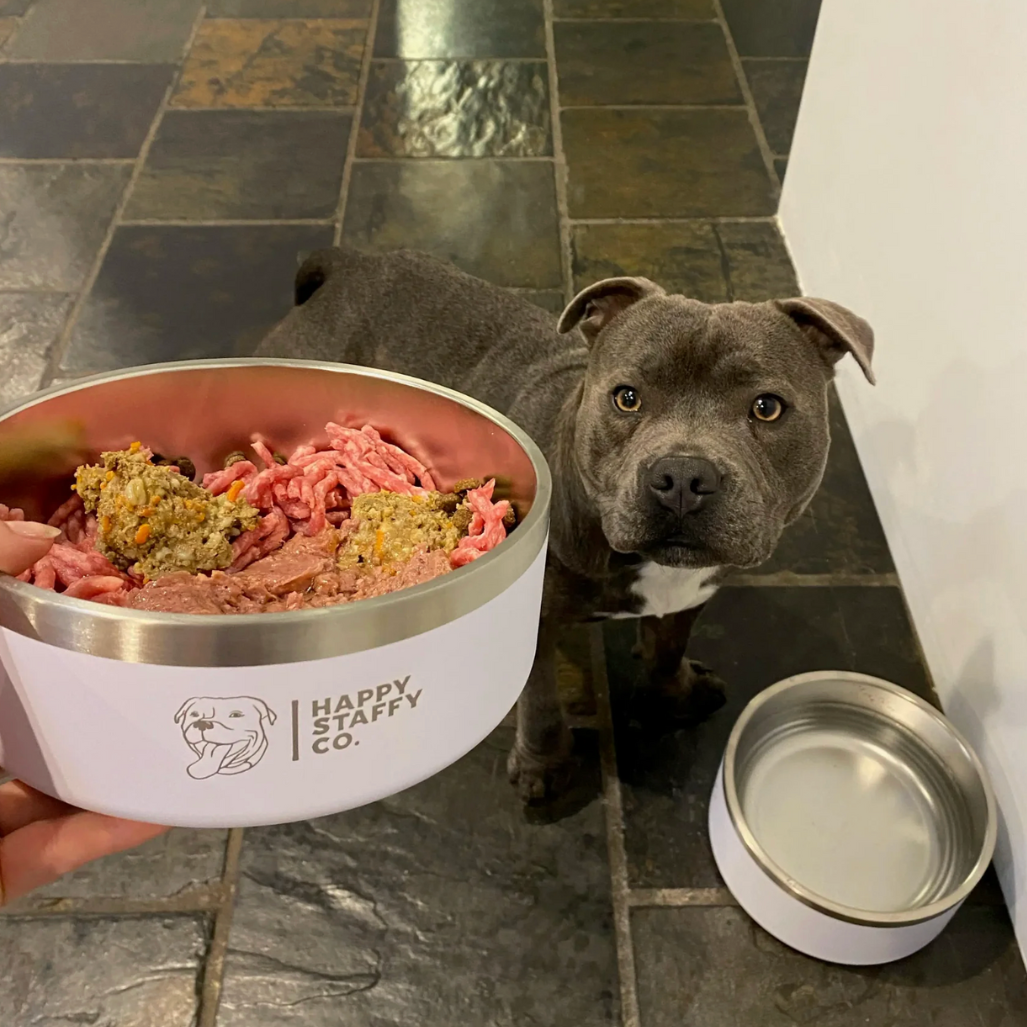 Which People Foods Can Dogs Eat And Not Eat? (Complete 2025 Guide)