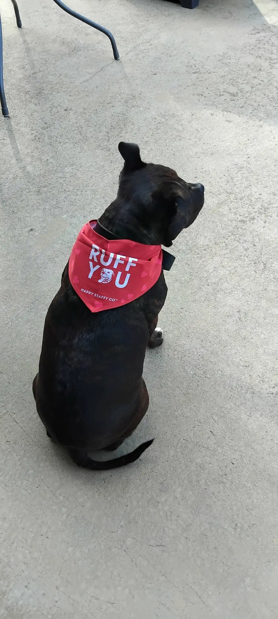 I Ruff You Bandana