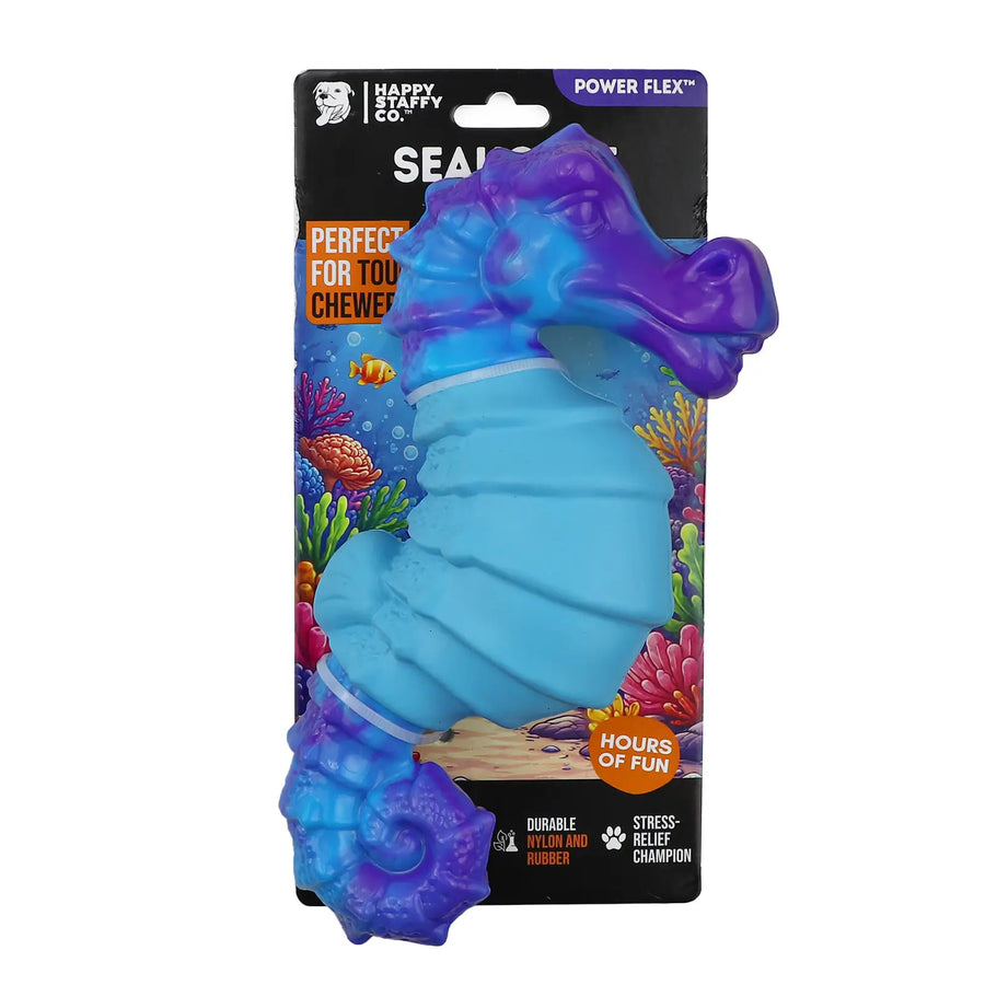 Seahorse Splash