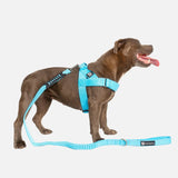 Walkies Starter Pack