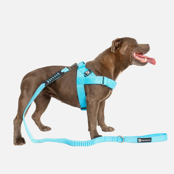 Walkies Starter Pack
