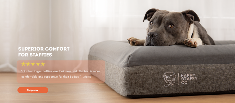 Banner- Happy Staffy Co
