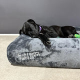 Orthopedic Memory Foam Bed + Pullover Blanket Cover